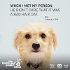 Meet the New Shelter Pet Project PSAs!